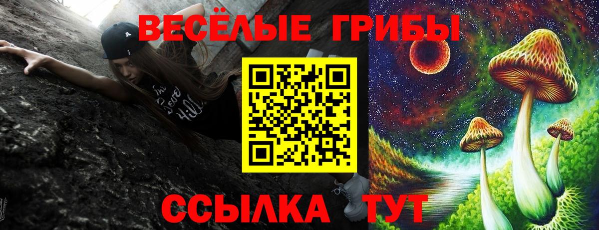 Новороссийск  Галлюциногенные грибы мухоморы  Псилоцибиновые грибы ЛСД  Вход с VPN 