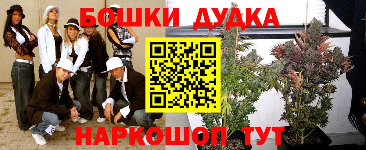 Конопля планчик  Бошки Шишки планчик  Новороссийск  МАРИХУАНА VHQ  Вход с VPN 